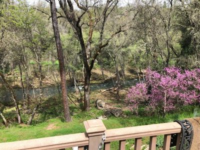11620 Tom Ray Dr, Grass Valley, CA, 95949