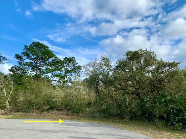 LOT 7 W Bluebell Ave Lot 7, Eustis, FL 32736
