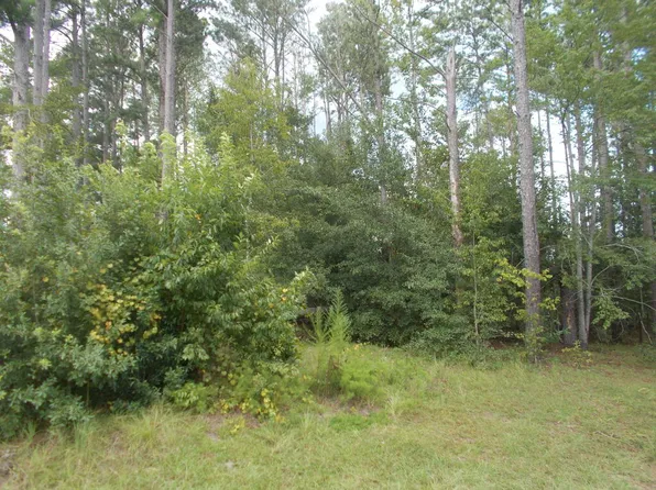 0 Woodlake Cir #1, Douglas, GA 31535
