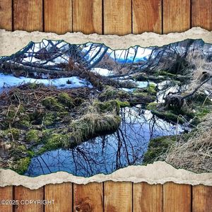 14235 Caribou Hills Rem SW, Ninilchik, AK, 99639