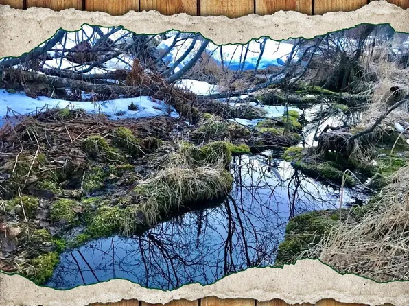 14235 Caribou Hills Rem SW, Ninilchik, AK 99639