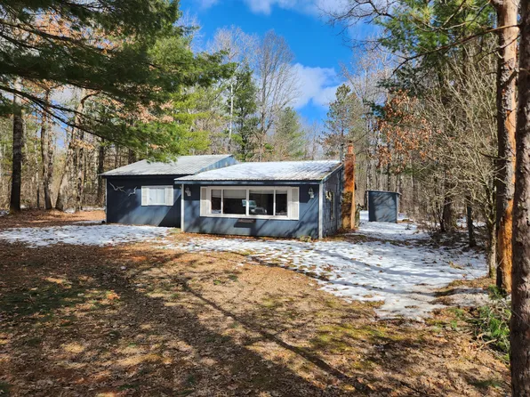 5247 N Access Rd, Irons, MI 49644