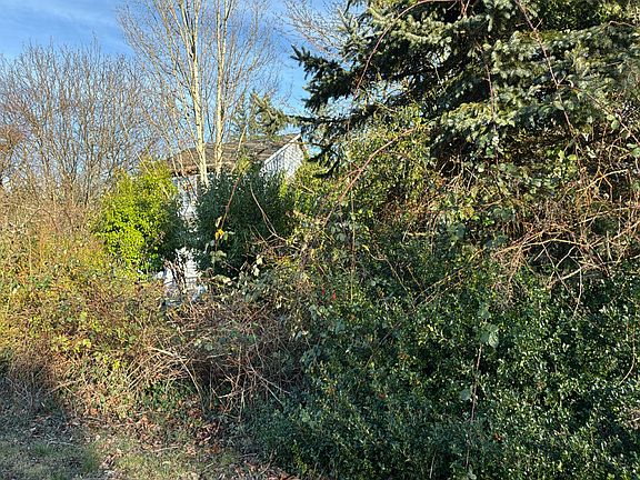2nd image of 319 13th St