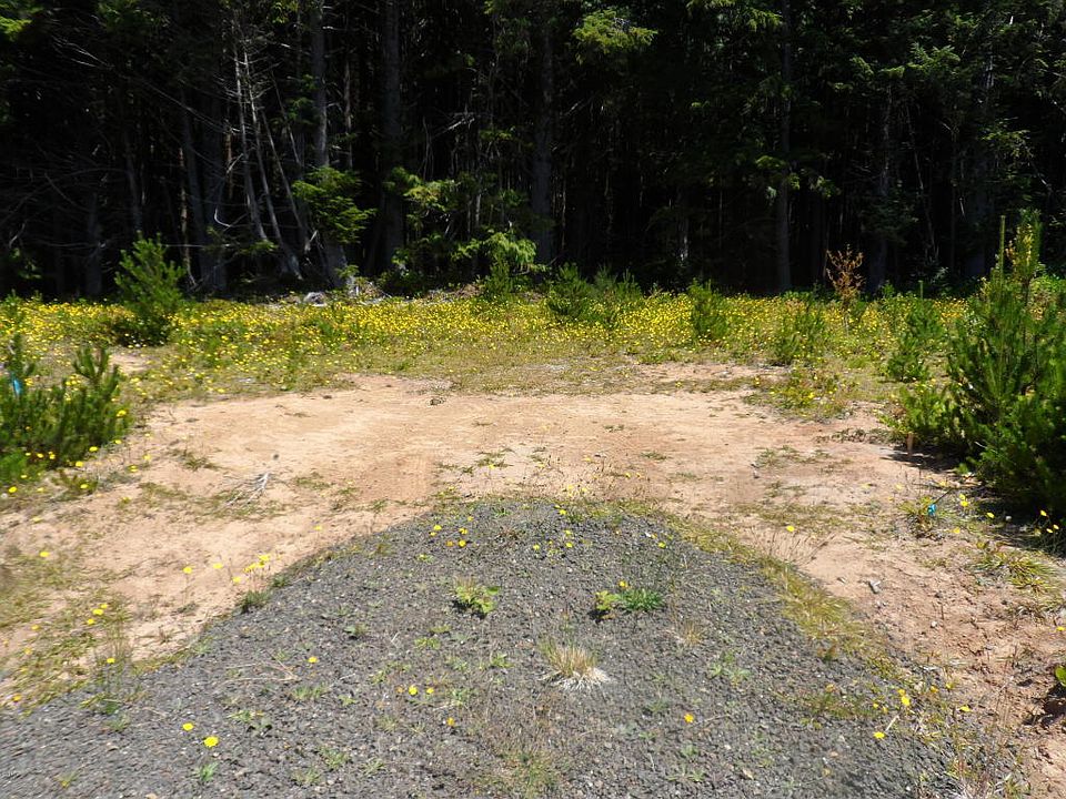 2nd image of TL 6 Se Wakeetum