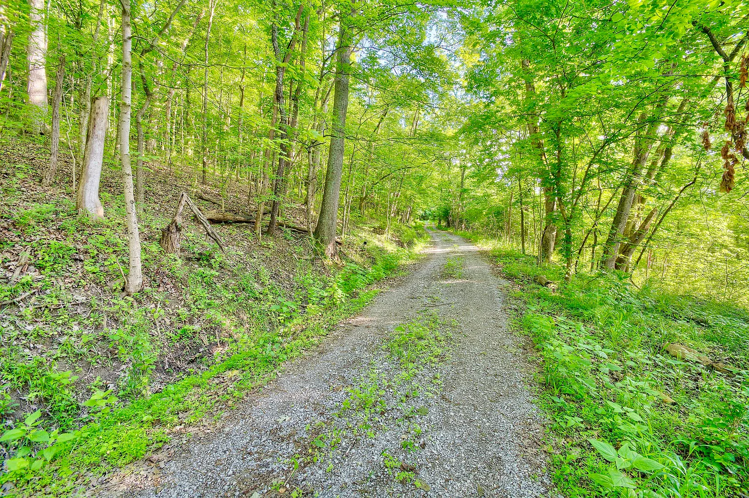 12376 Ryle Rd photo 1