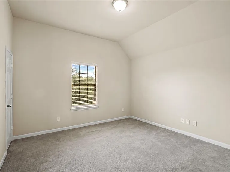 15006 Aster Petal Ct — Photo 13