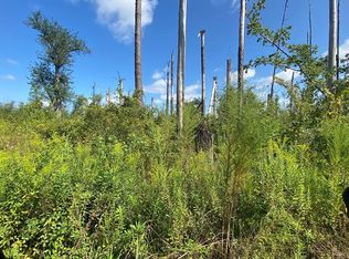 Morganville Rd, Youngstown, FL 32466