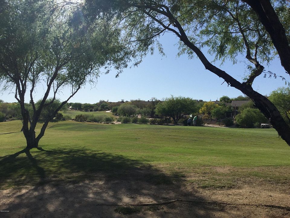 Backyard View