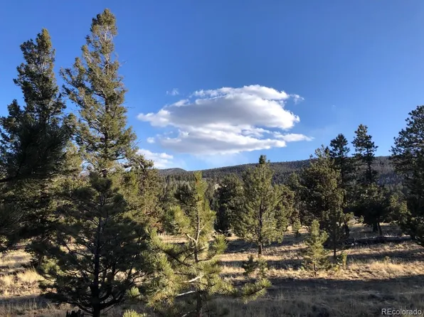 625 Singletree Road LOT 1190, Hartsel, CO 80449