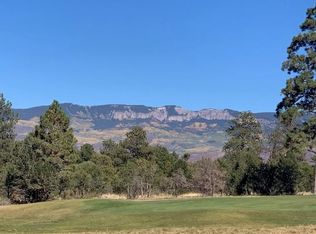 1406 Marmot Dr, Ridgway, CO 81432