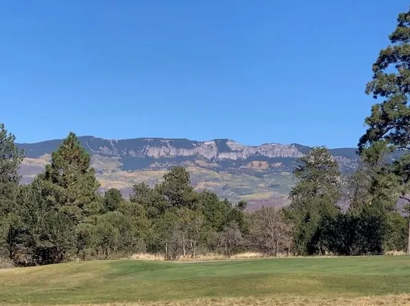 1406 Marmot Dr, Ridgway, CO 81432