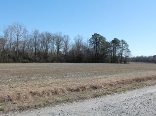 386 Grant Rd, Conway, NC 27820