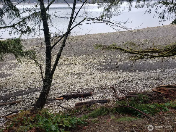 551 E Timber Tides Drive, Union, WA 98592