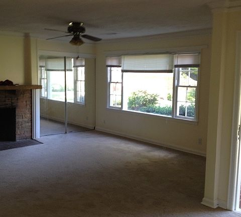 livingroom w/fireplace