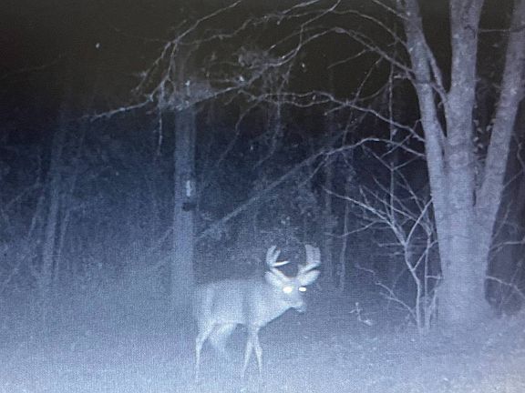 2nd image of 0 Lott Rd