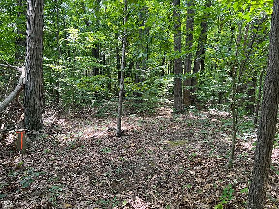 2nd image of 3501 S Swartz Ridge Rd