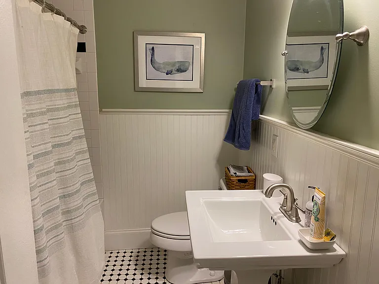 Hall Bathroom with soaking tub and linen closet