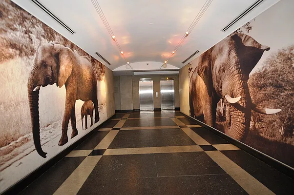 Rented by Corcoran | media 32