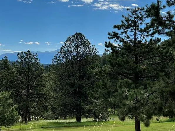 286 Cambell Ln, Florissant, CO 80816