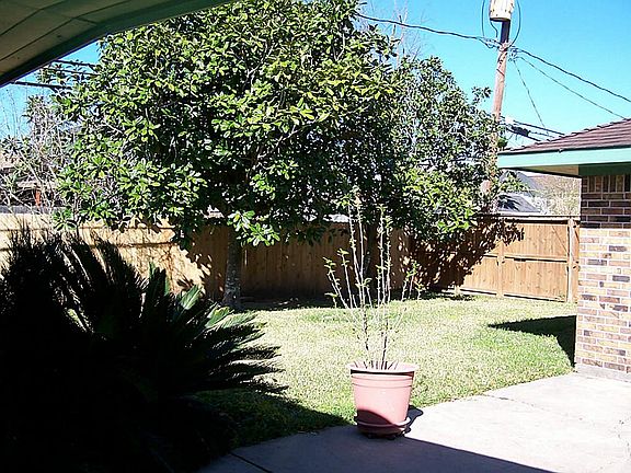 Nice rear yard.