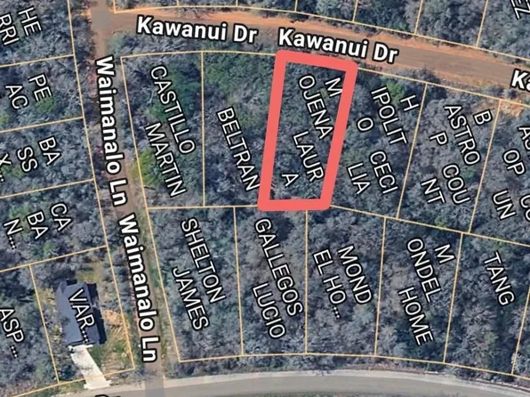 1035 Kawanui Dr, Bastrop, TX 78602