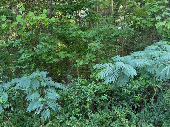 1197 Green Springs Rd Lot 7, New Bern, NC 28560