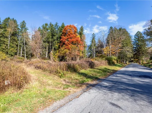 Lot #2 Dodge Road, Pawling, NY 12564