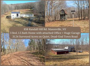 858 Randall Hill Rd, Sidney Center, NY 13839