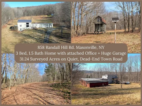 858 Randall Hill Rd, Sidney Center, NY 13839