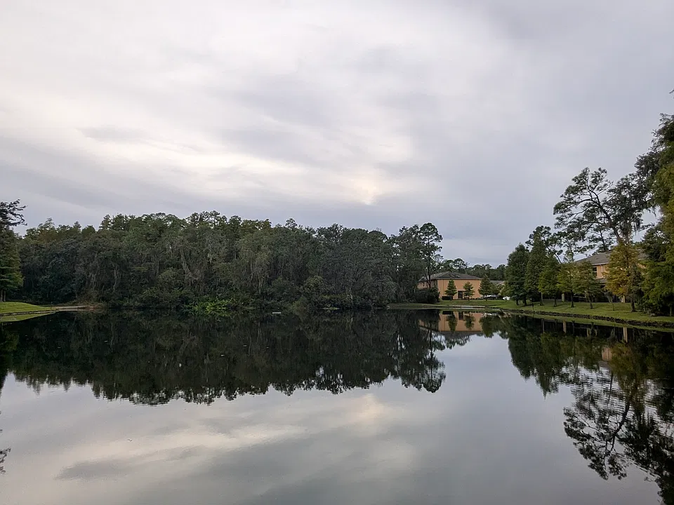 13805 River Fish Ct