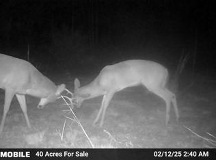 6157 NW Martin Sewell Rd, Altha, FL 32421