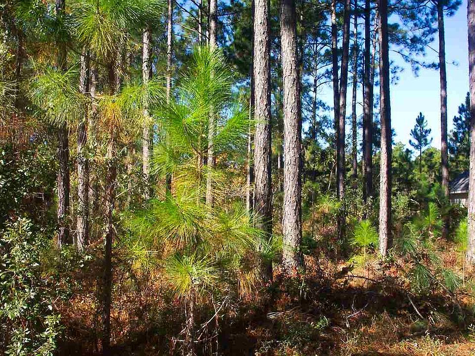 1st image of 4492 Parkland Dr. lot 12 ph 18