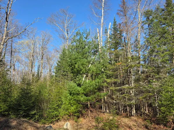 Northwoods Ln Lot 1, Elcho, WI 54428