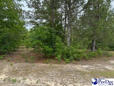 Meadow View Dr, Hartsville, SC, 29550