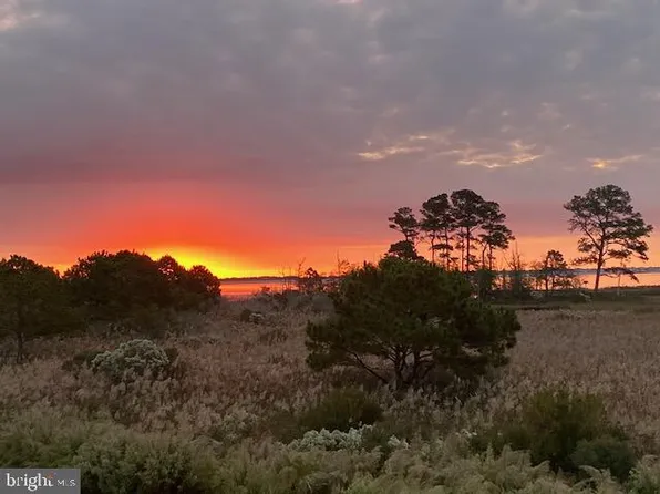 38328 Ocean Vista Dr APT 1096, Selbyville, DE 19975