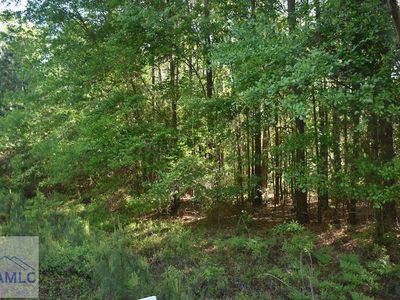 41 Willow Oak Ln, Garfield, GA, 30425