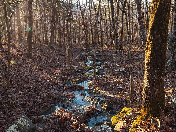 36th image of this home