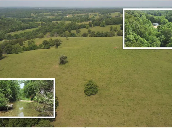 114 Peaches Drive, Wasola, MO 65773
