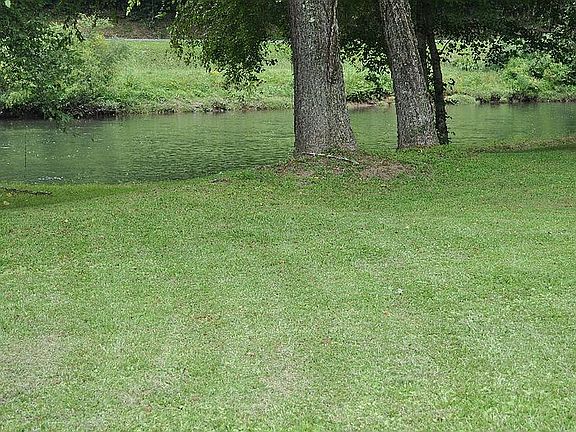 5th image of 791 River Rd