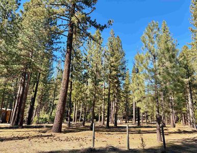 329 Clio State 40a Rd, Clio, CA, 96106