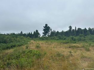 Off S Arfelin Lake Rd, Michigamme, MI 49861