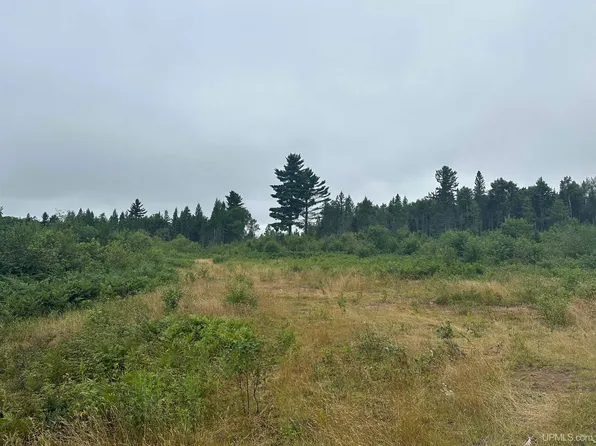 Off S Arfelin Lake Rd, Michigamme, MI 49861