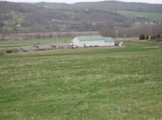 543 Sabin Rd, Spencer, NY 14883