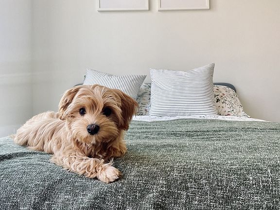 2nd image of 4453 Stone Way N #207