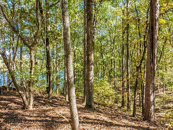 4th image of 740 Northshore Dr Lot 8A