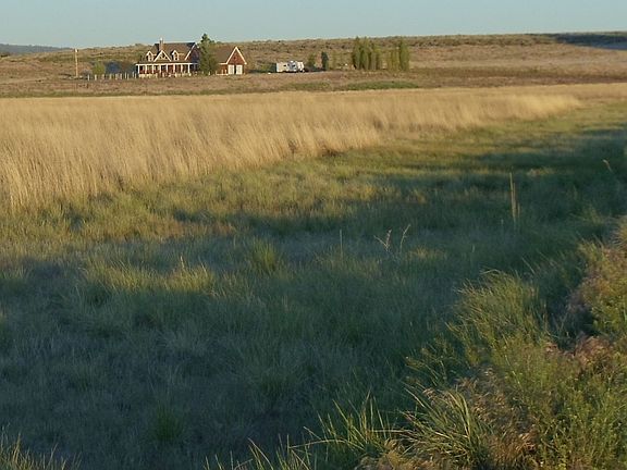 house from NE corner of property