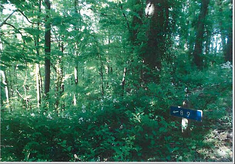 2nd image of 89 Buck Ridge Rd