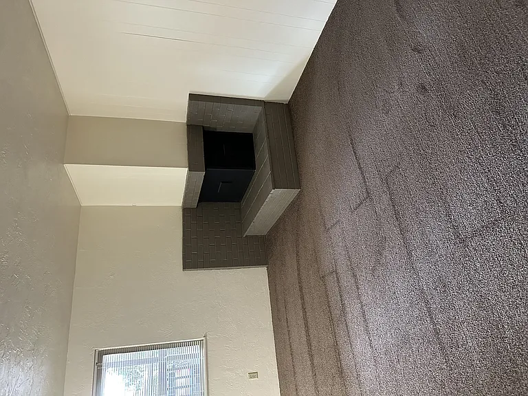 The Woodlands — Photo 36