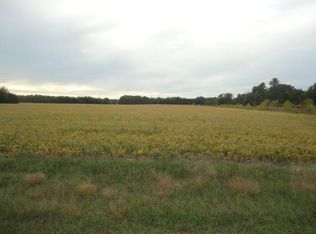 X Xingu St NE, Stacy, MN 55079