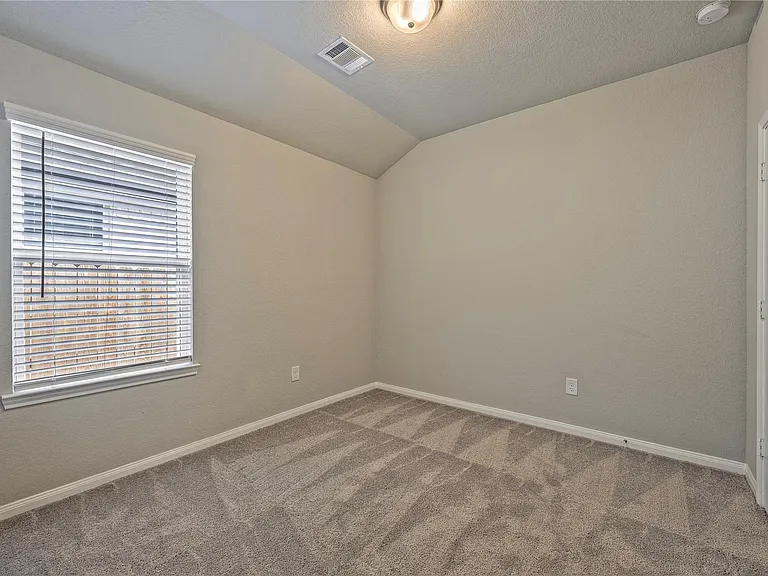 17502 Rosette Grass Dr — Photo 17